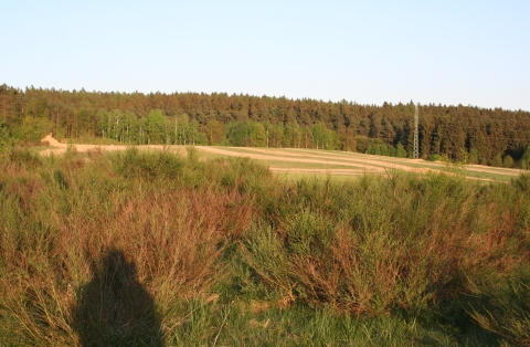 L039 U3000200 Chotyně